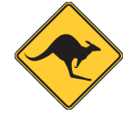 Collie River Valley Skippycoin ICG